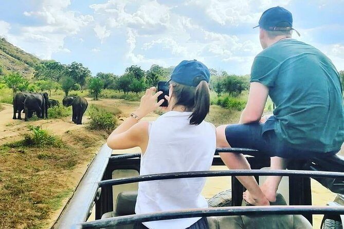 Private Jeep Safari at Minneriya National Park - Pickup in Sigiriya, Dambulla, or Habarana: the value of easy logistics