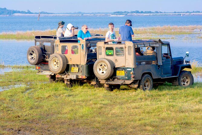 Private Jeep Safari at Minneriya National Park - The guide effect: why Jerry’s approach matters