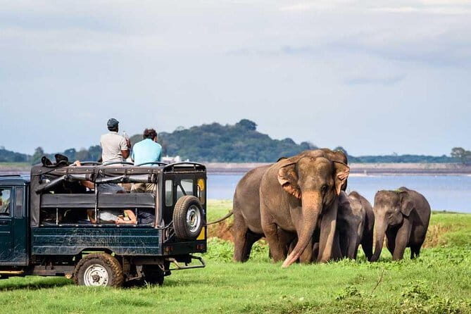 Private Jeep Safari To one of a Best National Park - Private Jeep Safari From Sigiriya: The real value is the control