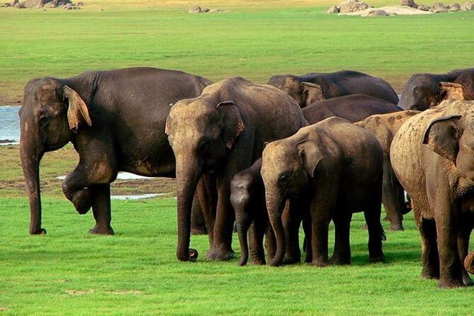 Private Jeep Safari To one of a Best National Park - Price and value: is $140 per person fair?