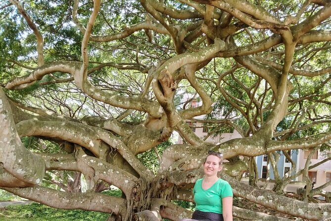 Private Kandy City Tour: Temple of the Tooth & Lake Highlights - Bahirawakanda and Kandy viewpoints: the best kind of tired