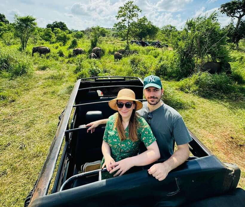 Private Kandy to Sigiriya and Minneriya Safari Day Tour - Key things to know before you go