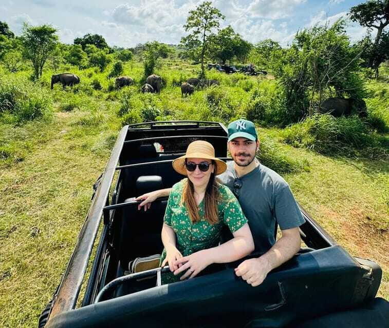Private Kandy to Sigiriya and Minneriya Safari Day Tour - Minneriya safari: elephants, timing, and why the jeep ride is the point