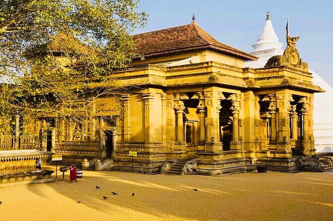 Private Night Tour in Colombo with Street Food Tasting - Viharamahadevi Park and Dutch Hospital: green space and colonial-era charm