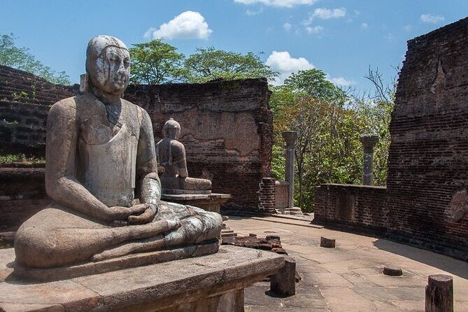 Private Polonnaruwa Ruins & Minneriya Safari Tour from Sigiriya - The Minneriya safari: planning for wild elephants