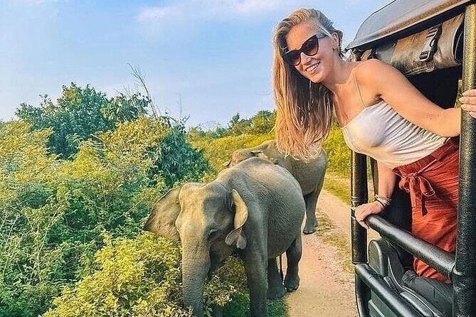 Private Polonnaruwa Ruins & Minneriya Safari Tour from Sigiriya - Price and logistics: what $55 per group really gets you