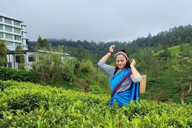 Private Ravana Falls and Nine Arches Bridge Ella Tour from Galle - Ella Tea Estate Views and a Short Town Break
