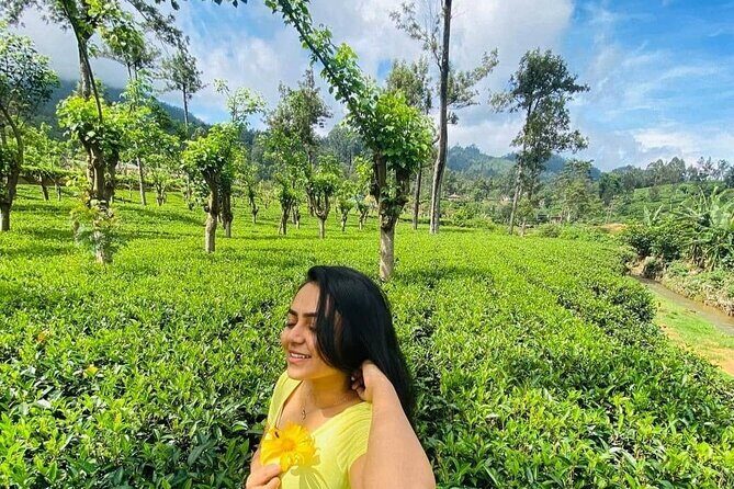 Private Ravana Falls and Nine Arches Bridge Ella Tour from Galle - Price ($123) and Value: What You’re Really Paying For