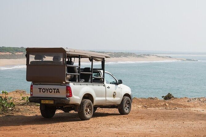 Private Tour : Udawalawe National Park Safari - Udawalawe National Park in 3 Hours: What You’re Actually Buying