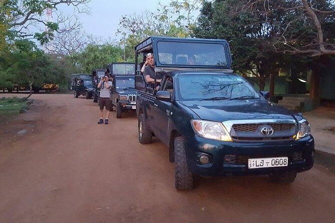 Private Tour : YALA National Park with Experienced Driver and Guide - Choosing morning vs afternoon vs full day: how to pick the right window