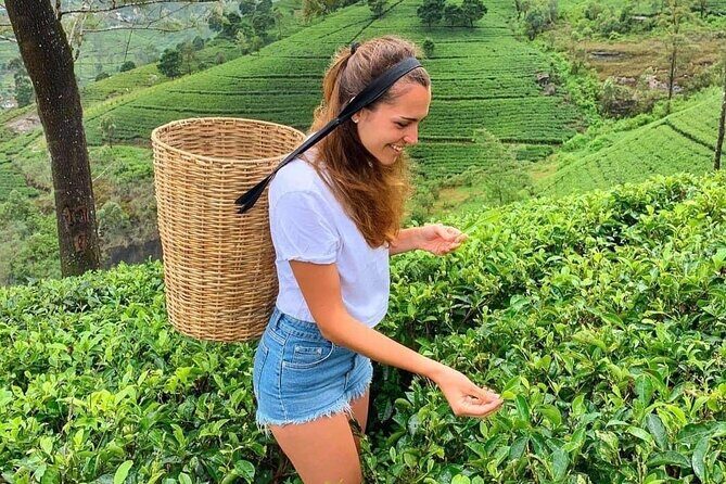 Private Transfer - Kandy to ella drop off and pick up - Quick Practical Tips Before You Go