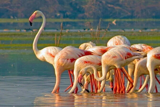 Private Transport Service from Sri Lanka - Price: when $64 per group makes sense