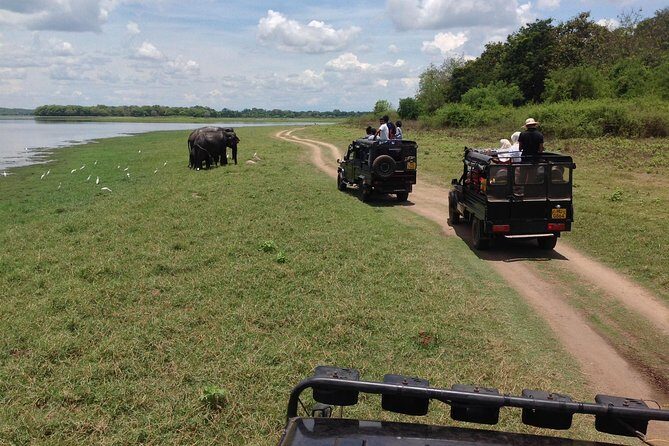 Private Trip to Sigiriya, Dambulla & safari from Colombo/ Negombo - Door-to-Door Pickup and a Long Day: What to Expect After 7:30 am