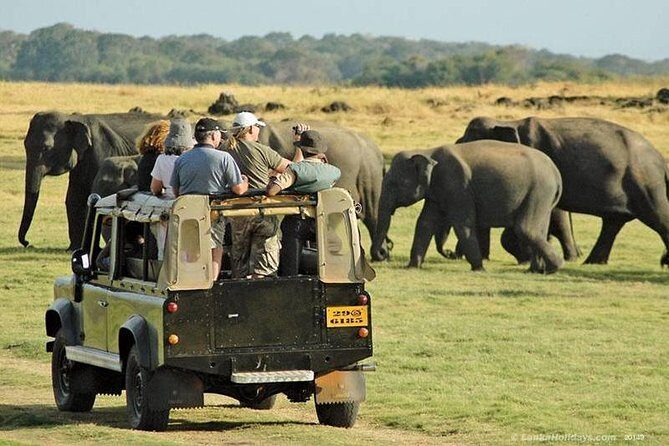 Private Trip to Sigiriya, Dambulla & safari from Colombo/ Negombo - How This Tour Fits Different Types of Travelers