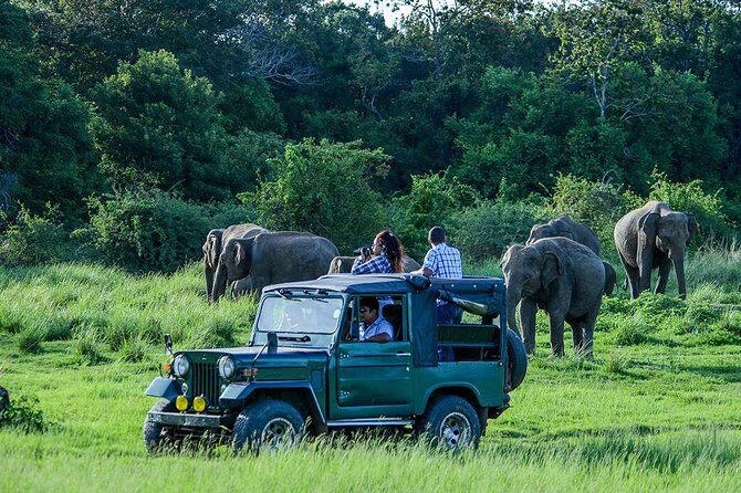Private Trip to Sigiriya, Dambulla & safari from Colombo/ Negombo - Should You Book This Sigiriya, Dambulla & Minneriya Day Trip?