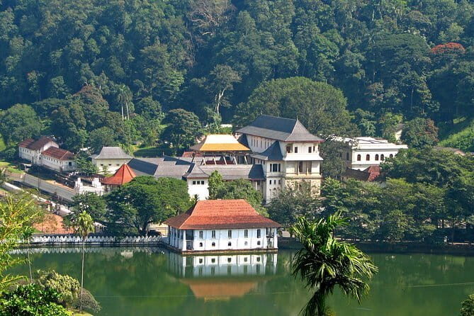 Private Tuk Tuk Tour of Kandy City & Surroundings - Tea Factory in Pilimathalawa: A Short, Clear Taste of Production
