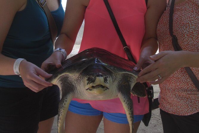 Private Tuk-Tuk Village Tour - From Bentota Hotels - Stop 1: Induruwa sea turtle conservation and the hatchery visit