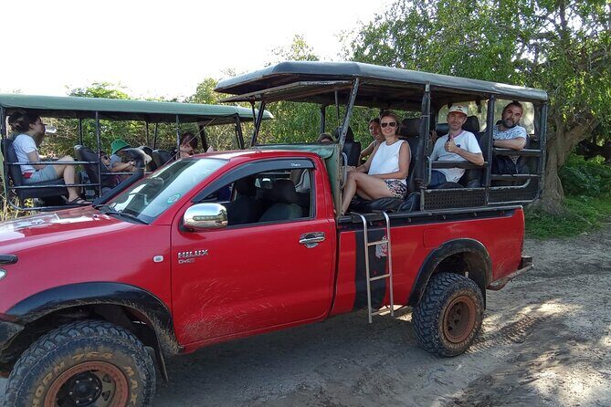 Private Wilpatu National Park Leopard safari from Colombo/Negambo - The long day timeline: pickup, park arrival, lunch, then the game drive
