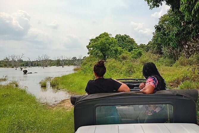 Private Wilpatu National Park Leopard safari from Colombo/Negambo - Leopard spotting reality check: why density helps, but timing still wins