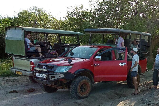Private Wilpatu National Park Leopard safari from Colombo/Negambo - What happens at the park: your lunch break and the switch to safari wheels