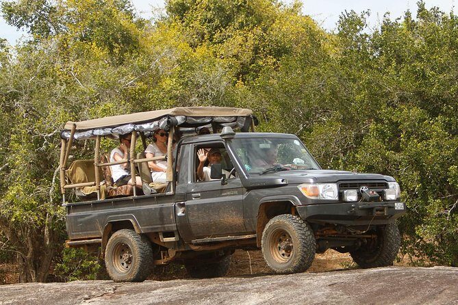 Private Yala Safari Day Trip & Exclusive Beach BBQ Dinner - Yala National Park by private jeep: your afternoon game drive