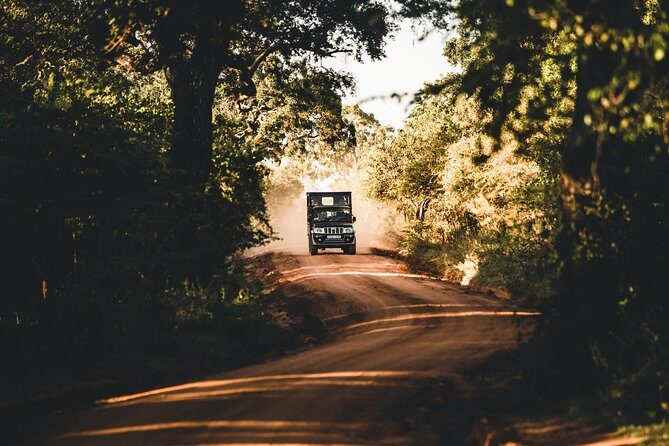 Private Yala Safari Day Trip & Exclusive Beach BBQ Dinner - Price and value: is $180 fair for this mix?