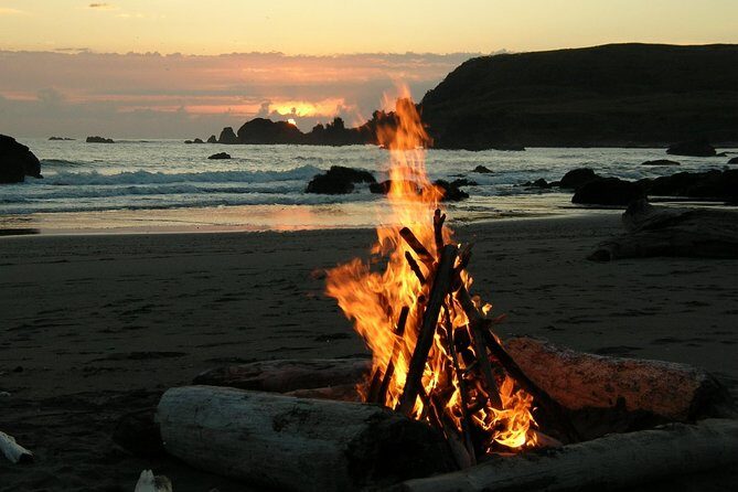 Private Yala Safari Day Trip & Exclusive Beach BBQ Dinner - Wildlife odds that actually shape the experience