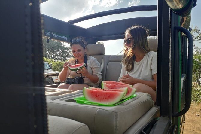 Rangiri Jeep Safari Sigiriya Lion Rock & Evening Jeep Safari - Kaudulla National Park for 200+ Elephants and Crocodiles