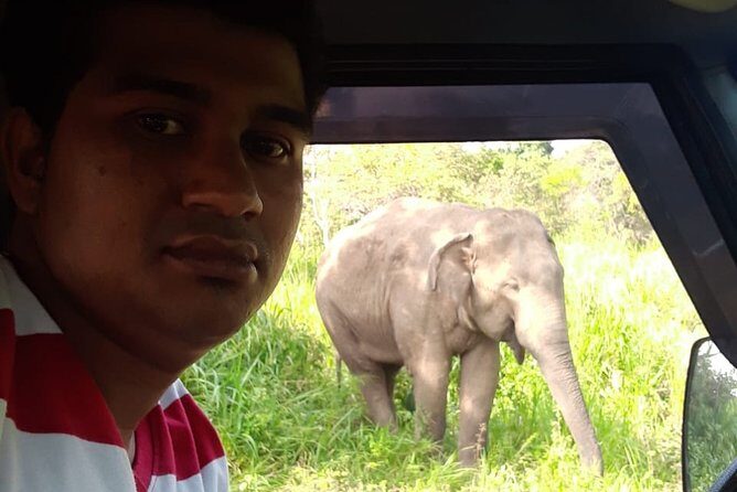 Rangiri Jeep Safari Sigiriya Lion Rock & Evening Jeep Safari - Timing, Comfort, and How to Make the Most of Four to Five Hours