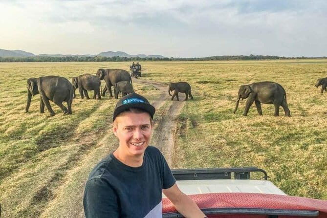 Safari Adventure in Minneriya national Park Sri Lanka - Things to weigh before you book