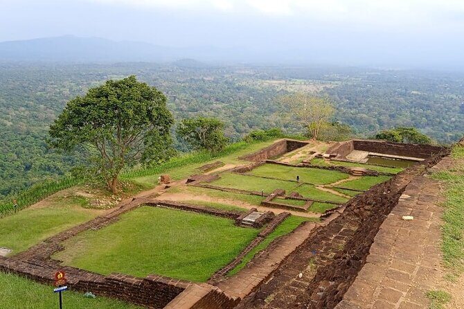 Safari Day Tour to Sigiriya Lion Rock and Golden Cave Temple - The Real Price: $45 Tour Cost vs. Entrance Fees You’ll Pay
