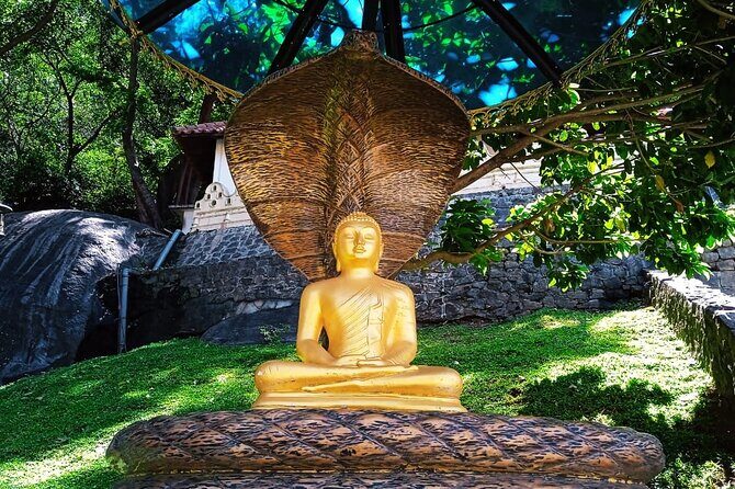 Safari Day Tour to Sigiriya Lion Rock and Golden Cave Temple - Optional Extras: Bullock Cart Village Tour and Hurulu Eco Park Safari