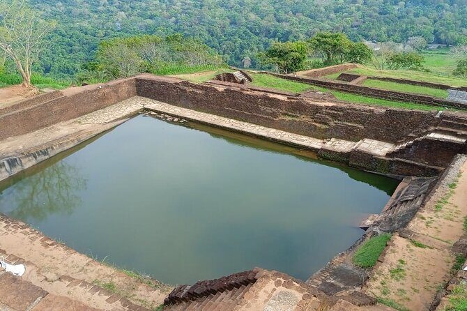 Safari Day Tour to Sigiriya Lion Rock and Golden Cave Temple - Who Should Book This Tour (and Who Might Pass)