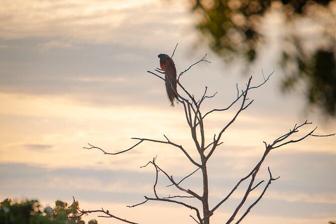 Safari tours in Udawalawa - Value check: the real meaning of $30 per person