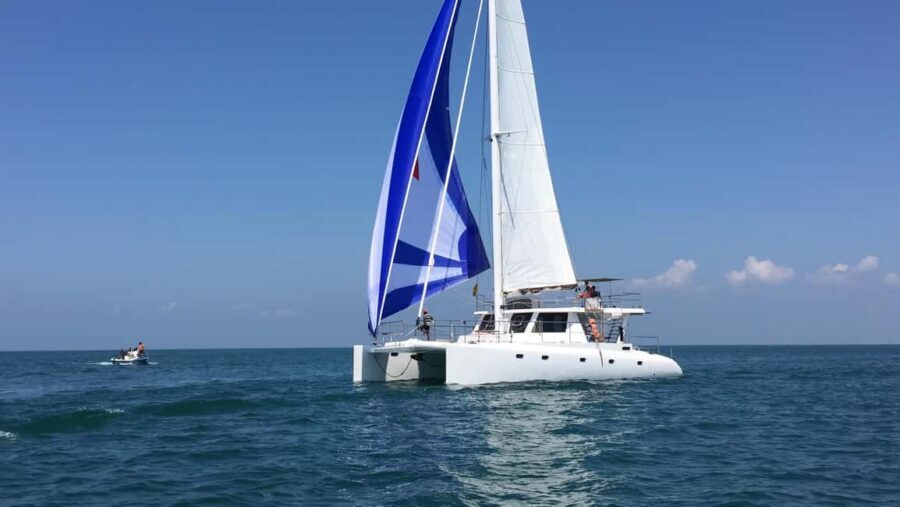 Sail Lanka Charter - Whale Watching Cruise In Mirissa - Whale and dolphin viewing from the bow and upper decks