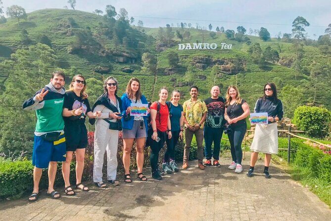 Scenic Road Trip to Ella from Kandy (Group) - Why This Kandy to Ella Drive Feels Like a Real Day Out