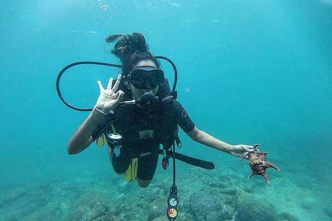Scuba Diving at Unawatuna - Where to meet on Yaddehimulla Road (and why it matters)