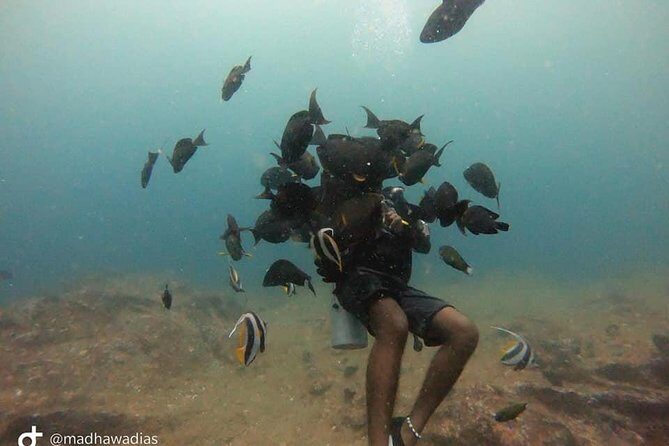 Scuba Diving at Unawatuna - Gear, changing rooms, and GoPro photos you can actually use