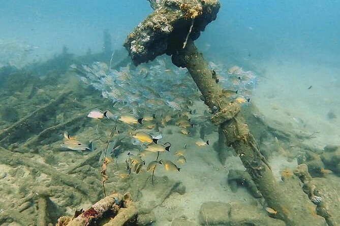 Scuba Diving at Unawatuna - Price and value: is $70 worth it in Unawatuna?