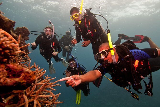 Scuba Diving For Beginners - Key things that make this experience work