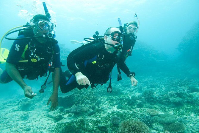 Scuba Diving For Beginners - The $84.09 value: what you get, what you don’t