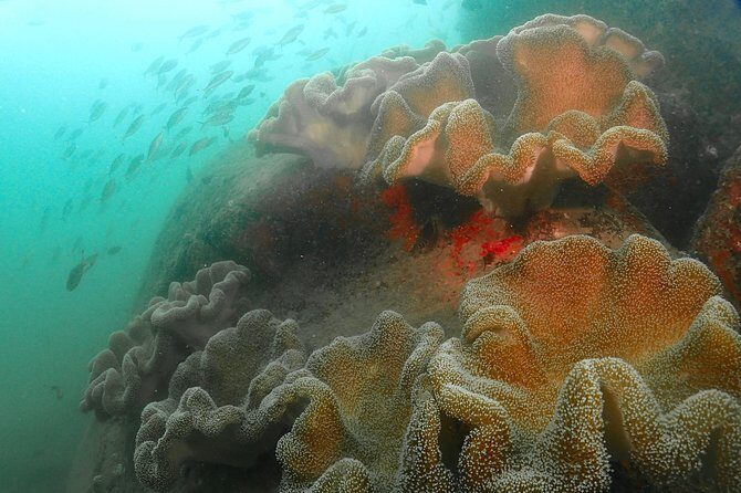 Scuba Diving For Beginners - Gear, comfort, and the small things that change everything