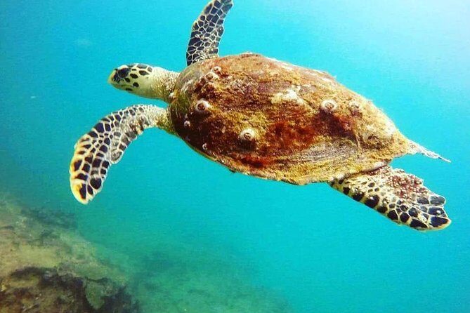 Scuba Diving in Mirissa - The instructor and team angle: value isn’t just the sea