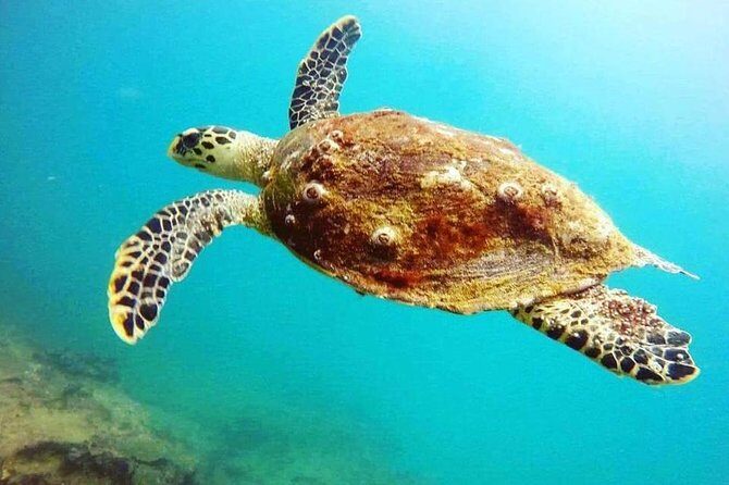 Scuba Diving in Unawatuna - Getting started: the meeting point and the reality of a smooth check-in