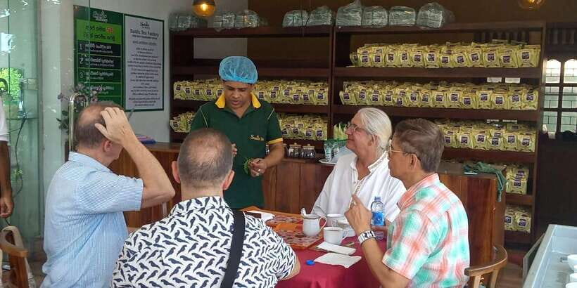 Shore Excursion Colombo Highlight Tour from Passenger Pier. - Key takeaways