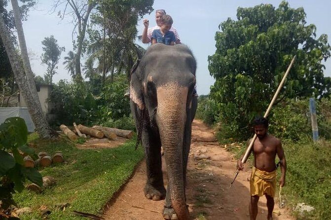 Shore Excursion From Colombo port to Ingiriya Tea Plantation & back for 2 People - Price for two people: is $135.72 good value?