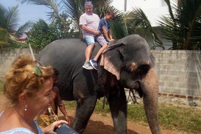 Shore Excursion From Colombo port to Ingiriya Tea Plantation & back for 2 People - Who this tour is best for (and who may want something else)