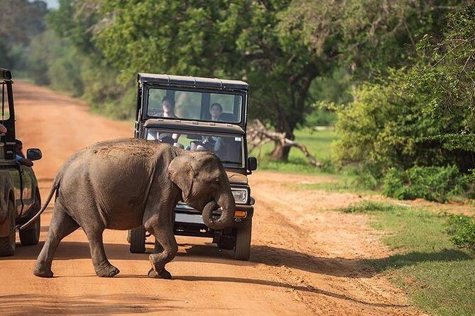 Shore Excursion Hambantota Port to Yala Safari and Come back(All Inclusive) - Beyond the safari: Sithulpawwa and Magul Maha Viharaya stop