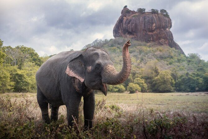 Sigiriya and Dambulla Cave Temple Private Day Trip From Bentota - The sunrise rhythm at Sigiriya Rock Fortress