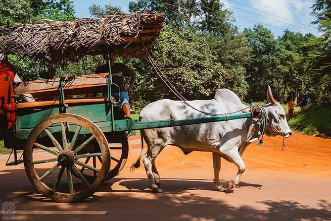 Sigiriya and Dambulla Private Full-Day Guided Tour - Road time and comfort: why private A/C matters on a long day